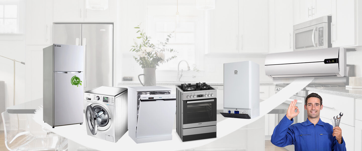 Alaybey Warmhaus Servisi